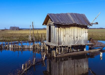 Quelles sont les pratiques de pêche qui tuent nos océans ?